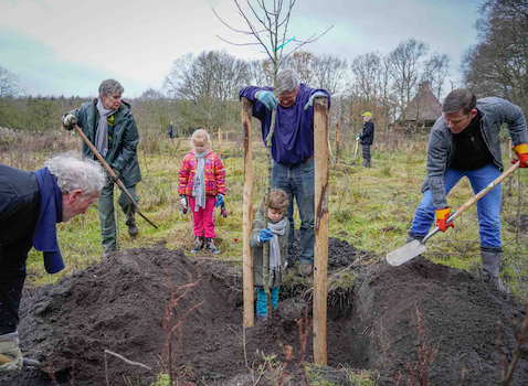 Drenthe 50 jaar: win een boomgaard!