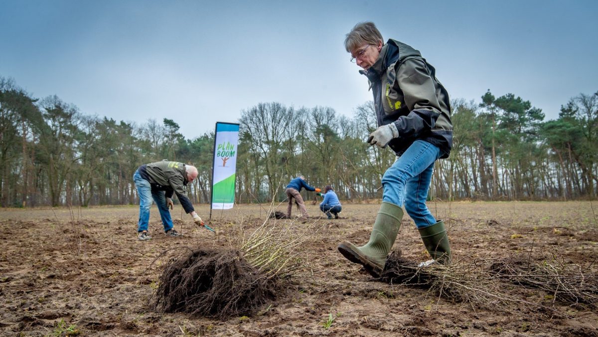 Groene vrijwilligers planten ruim 40 duizend bomen in Brabant