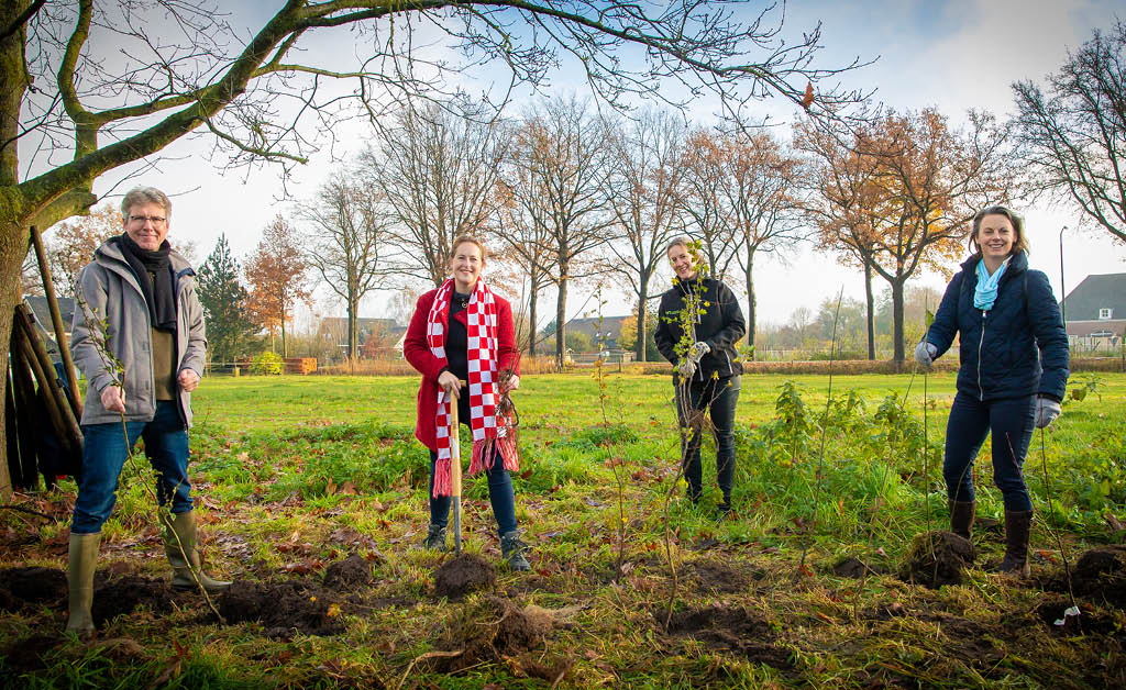 Aftrap plantseizoen in Brabant: 40 duizend boompjes