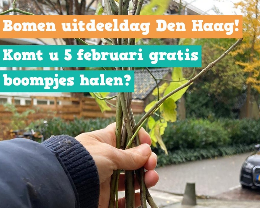Allergroenste Drive Through: in Den Haag geven we 6.000 bomen weg!