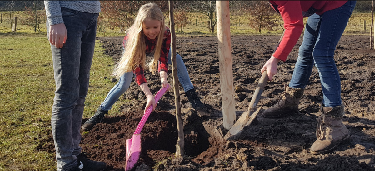 Maatschappelijke initiatieven uit Kampen planten 110 bomen