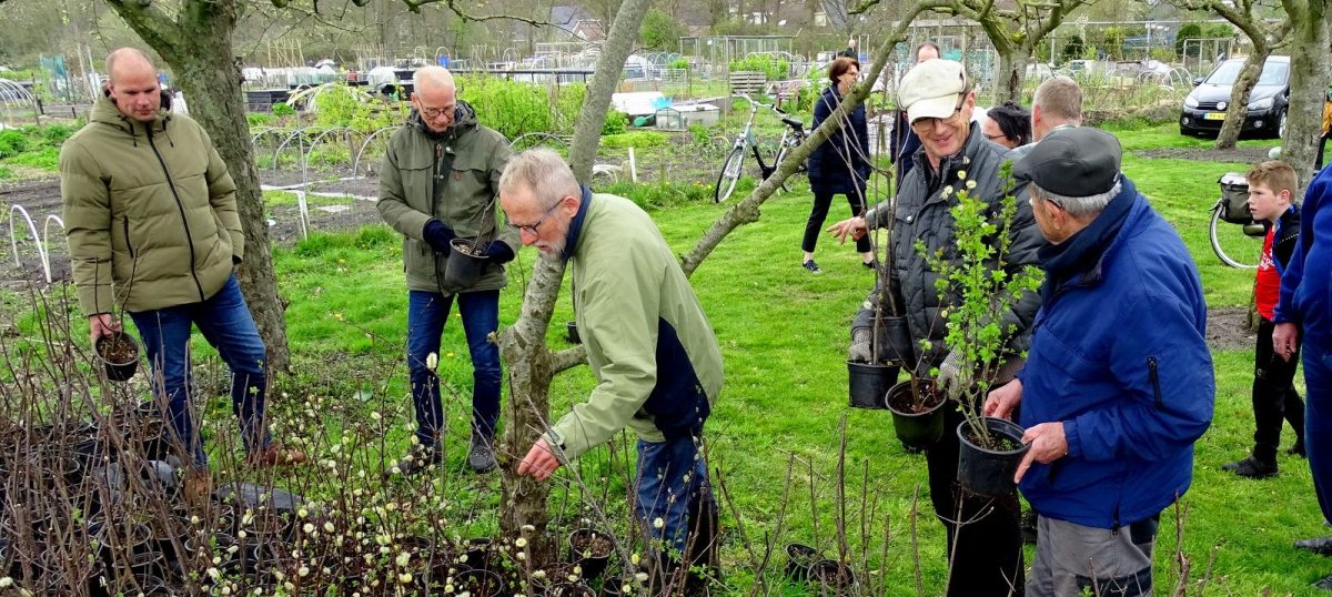 Uitdeelactie Kleine Landschapselementen - Plan Boom Utrecht