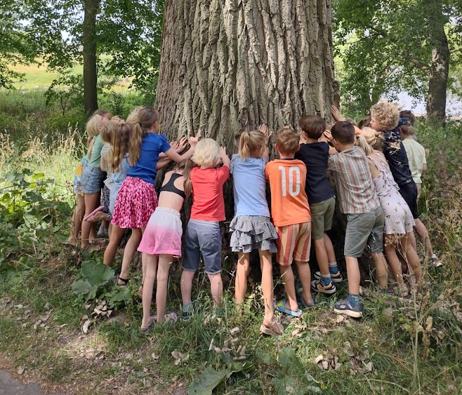 Doe mee met Bomenproject groep 5 t/m 8 in Overijssel